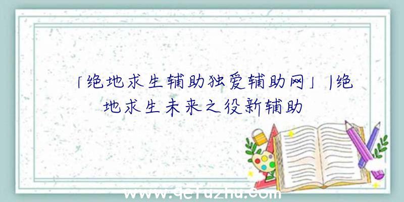 「绝地求生辅助独爱辅助网」|绝地求生未来之役新辅助